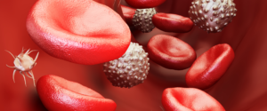 Lire la suite à propos de l’article Comprendre l’anémie