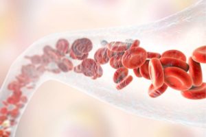 Lire la suite à propos de l’article Comment remédier à une mauvaise circulation sanguine ?