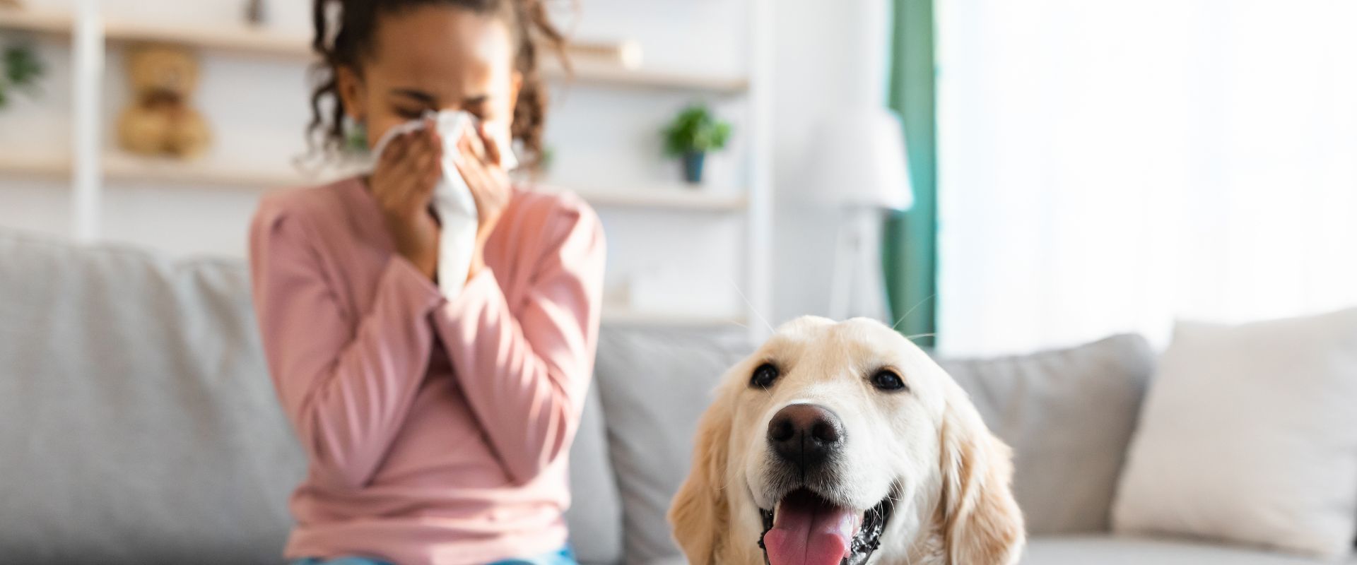 Lire la suite à propos de l’article Reconnaître une allergie