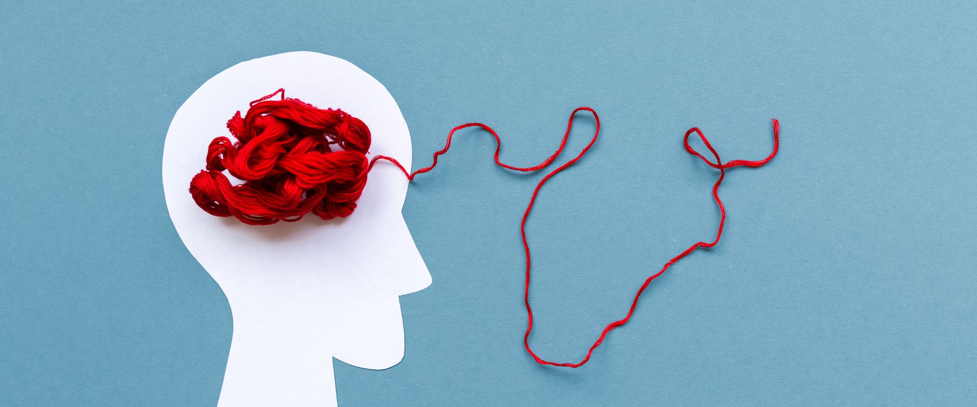 Lire la suite à propos de l’article Premiers repères sur la maladie d’Alzheimer