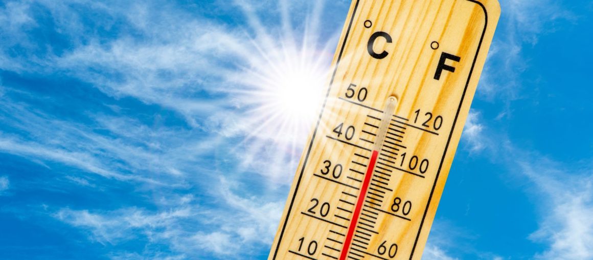 Fortes chaleurs et canicule : quels gestes adopter pour s’en protéger ?