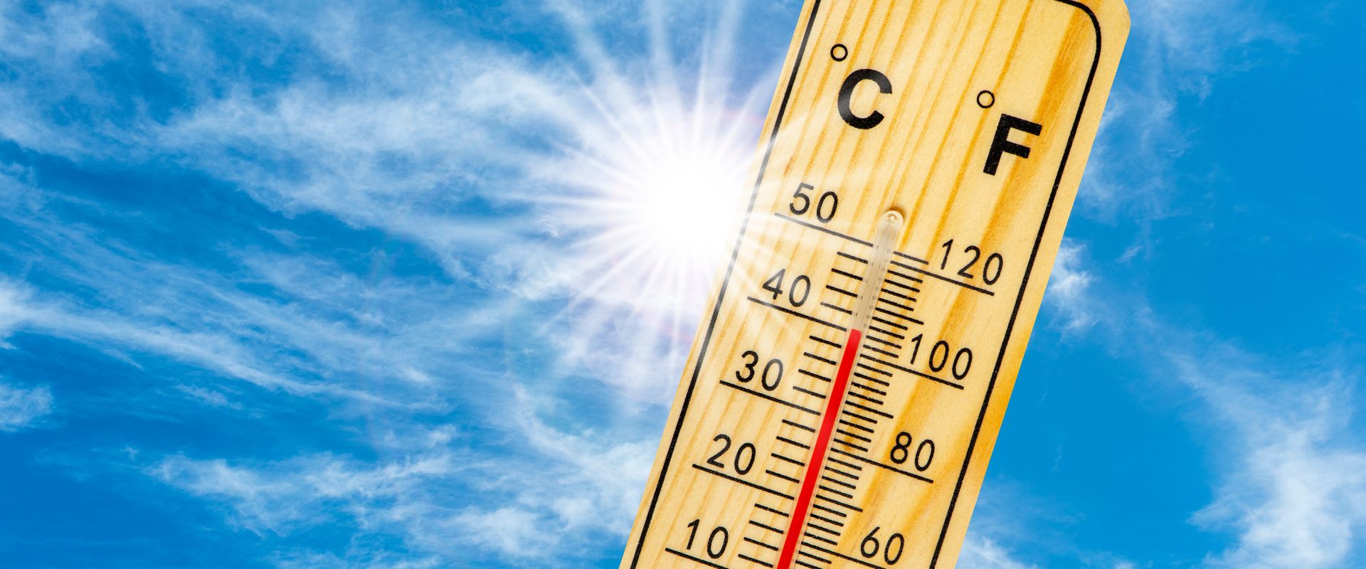 Lire la suite à propos de l’article Fortes chaleurs et canicule : quels gestes adopter pour s’en protéger ?