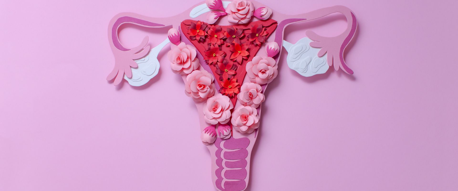 Lire la suite à propos de l’article Kyste ovarien : définition et causes