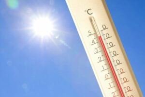 Fortes chaleurs et canicule : quels gestes adopter pour s’en protéger ?
