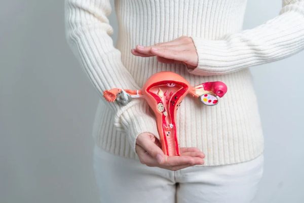 Lire la suite à propos de l’article Kyste ovarien : symptômes, diagnostic et évolution